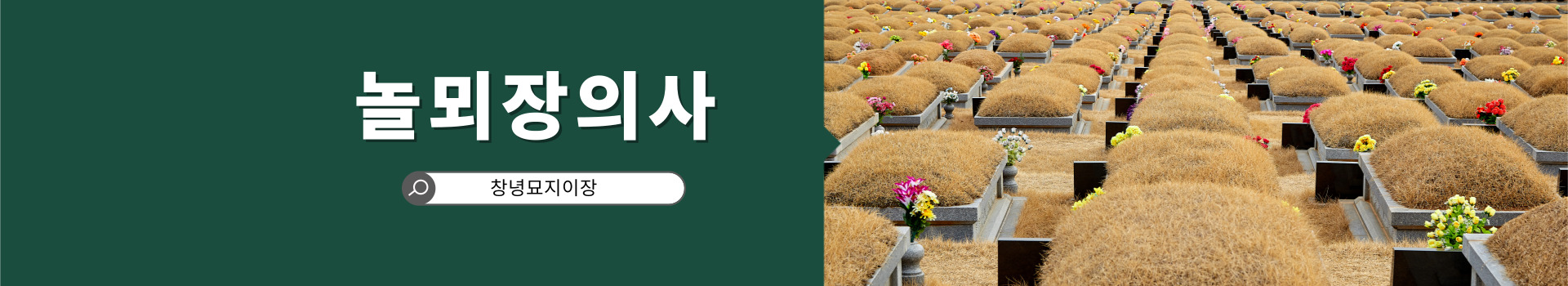 놀뫼장의사 PC 비주얼 0